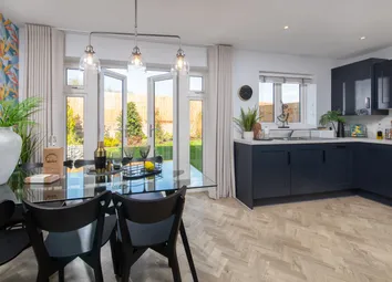 Showhome Photography