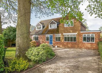 Thumbnail Detached house for sale in Oakwood Road, Hiltingbury, Chandlers Ford