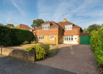 Thumbnail Detached house to rent in Clarence Road, Walton-On-Thames