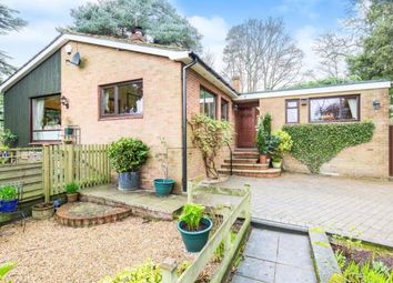 Thumbnail 3 bedroom bungalow for sale in Bassett, Southampton, Hampshire