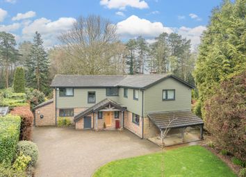 Thumbnail 5 bed detached house to rent in Pine Bank, Hindhead