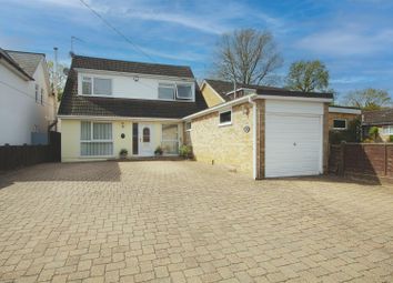Thumbnail Detached house for sale in Bluebell Wood, Billericay