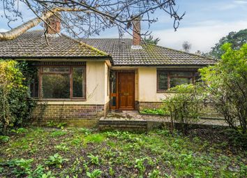 Thumbnail 3 bed bungalow for sale in Stream Valley Road, Lower Bourne, Farnham, Surrey