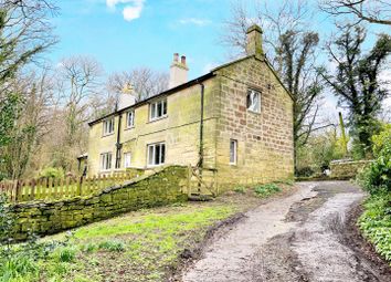 Thumbnail Detached house to rent in Birling, Warkworth, Morpeth