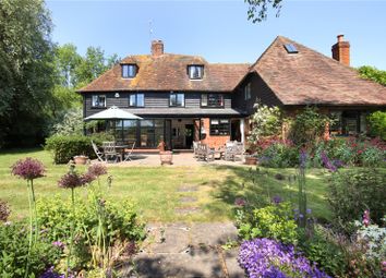 Rear Gardens