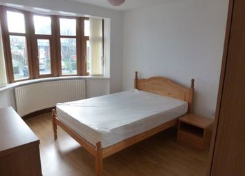 Park Avenue, Wrexham LL12