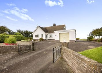 Property listing in Cardigan, Ceredigion