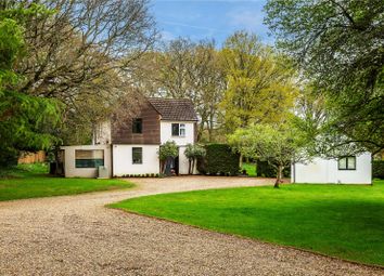 Thumbnail Detached house to rent in Hascombe Road, Godalming, Surrey