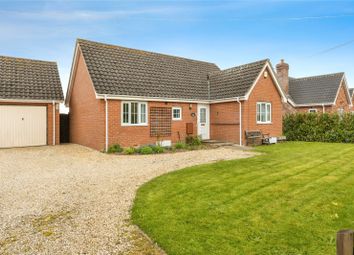 Thumbnail Bungalow for sale in North Road, Bunwell, Norwich, Norfolk
