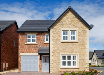 Thumbnail Detached house for sale in "Sanderson" at Heron Drive, Fulwood, Preston