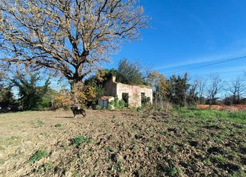 Thumbnail Land for sale in Chieti, Casalbordino, Abruzzo, CH66021