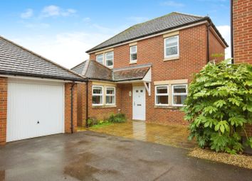 Thumbnail Detached house for sale in Cecil Gardens, Sarisbury Green, Southampton, Hampshire