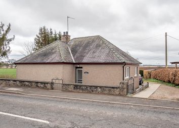 Thumbnail Detached bungalow for sale in Dundee Road, Coupar Angus