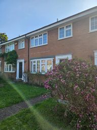 Thumbnail Terraced house to rent in Springfield Avenue, Hampton