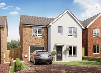 An Artist's Impression Of The Byrneham