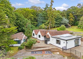 Thumbnail 4 bed detached bungalow for sale in Weald Road, South Weald, Brentwood