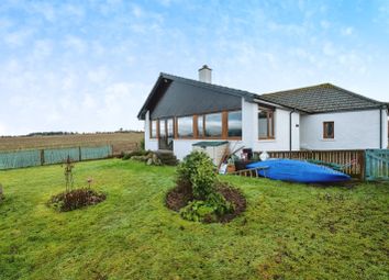 Thumbnail 3 bedroom bungalow for sale in Balblair, Dingwall