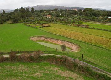 Thumbnail Land for sale in Soalheira, Fundão, Castelo Branco, Central Portugal