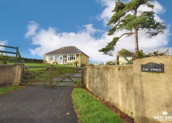 Thumbnail 4 bed detached bungalow for sale in Wiston, Haverfordwest