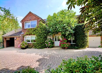 Thumbnail Detached house for sale in Bridle End, Yelling, St Neots