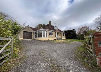 Thumbnail 4 bed detached bungalow for sale in New Road, Haverfordwest