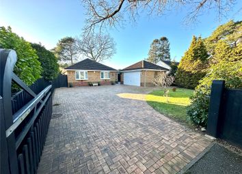 Thumbnail 4 bed bungalow for sale in St. Ives End Lane, St. Ives, Ringwood