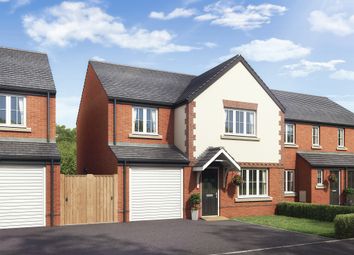 Thumbnail Detached house for sale in "The Roseberry" at Boughton Green Road, Northampton