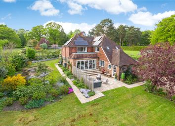 The Drive, Maresfield Park, Uckfield, East Sussex TN22, south east england