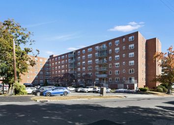 Thumbnail 1 bed apartment for sale in Northill Street Apt 3P In Stamford, Stamford, Connecticut, United States Of America