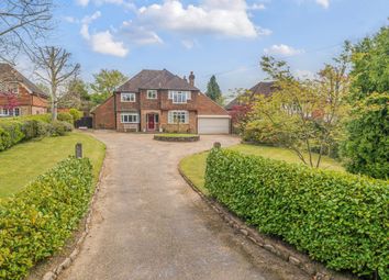 Thumbnail Detached house for sale in Upperfield, Easebourne