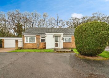 Thumbnail Detached bungalow for sale in Paddock Mead, Harlow