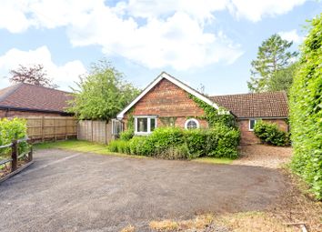 Thumbnail 3 bed bungalow for sale in Avenue Close, Liphook, Hampshire