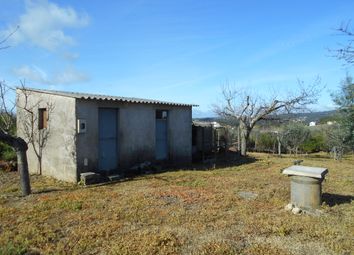 Thumbnail Farm for sale in Montes Da Senhora, Montes Da Senhora, Proença-A-Nova, Castelo Branco, Central Portugal