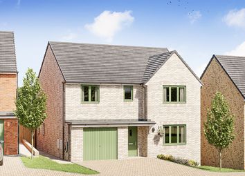 Thumbnail 4 bedroom detached house for sale in "The Tiverton" at Fitzhugh Rise, Wellingborough