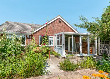 Thumbnail 2 bed bungalow for sale in Holly Walk, Andover