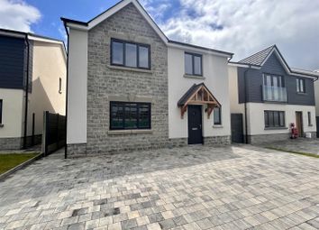 Thumbnail 4 bed detached house for sale in Llysonnen Road, Carmarthen