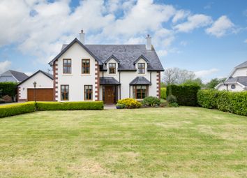 Thumbnail Detached house for sale in Coolanickbeg, Oylegate, Wexford County, Leinster, Ireland