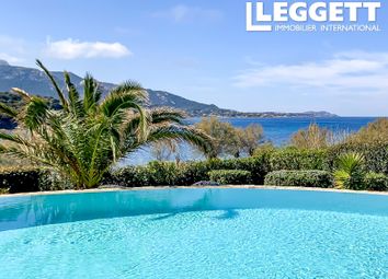 Thumbnail 4 bed villa for sale in Corbara, Haute-Corse, Corse