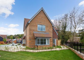 Thumbnail Detached house for sale in Ovingdean Road, Ovingdean, Brighton