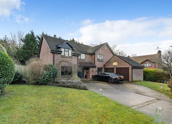 Thumbnail 5 bed detached house to rent in Ascot, Berkshire