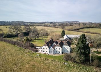 Drone View