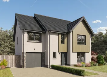 240625 cala Killearn Darroch Ht