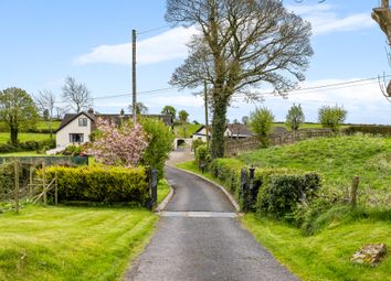 Thumbnail 6 bed detached house for sale in 86 Fort Road, Belfast, Co Antrim