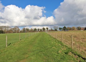 Thumbnail Land for sale in Land, South Sway Lane, Sway, Hampshire