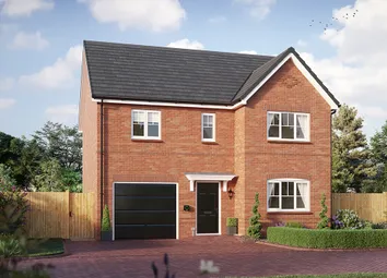 Thorndon CGI