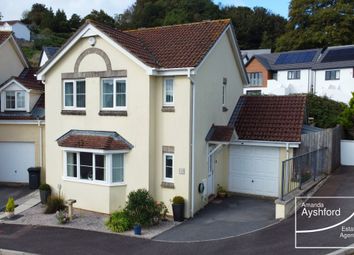Thumbnail 3 bedroom detached house for sale in Martinique Grove, The Willows, Torquay