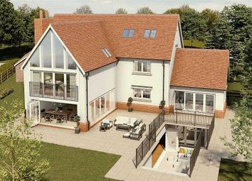 Thumbnail Detached house for sale in Clay Hall Lane, Acton, Sudbury