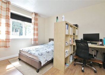 1 Bedroom  for rent