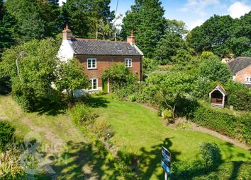 Thumbnail Cottage for sale in Sunnyside, Bergh Apton, Norwich