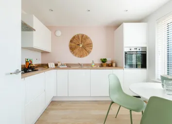 Cook Up A Storm In The Kitchen